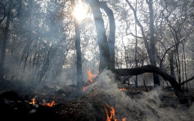 Umidade do ar cai para 14% e queimadas aumentam na Capital