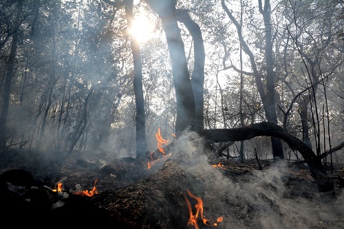 Umidade do ar cai para 14% e queimadas aumentam na Capital
