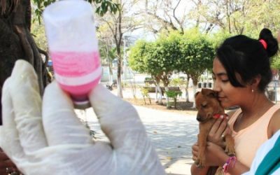 Ministério e prefeitura levam campanha para cidades da Bolívia