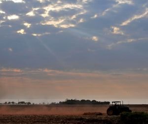 Estiagem poderá atrasar  o plantio da soja em MS