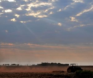 Estiagem poderá atrasar  o plantio da soja em MS