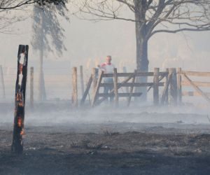 Incêndio em fazendas mobiliza bombeiros e interdita rodovia