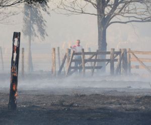 Incêndio em fazendas mobiliza bombeiros e interdita rodovia