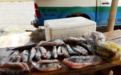 Paulistas são presos por pesca acima da cota permitida por lei
