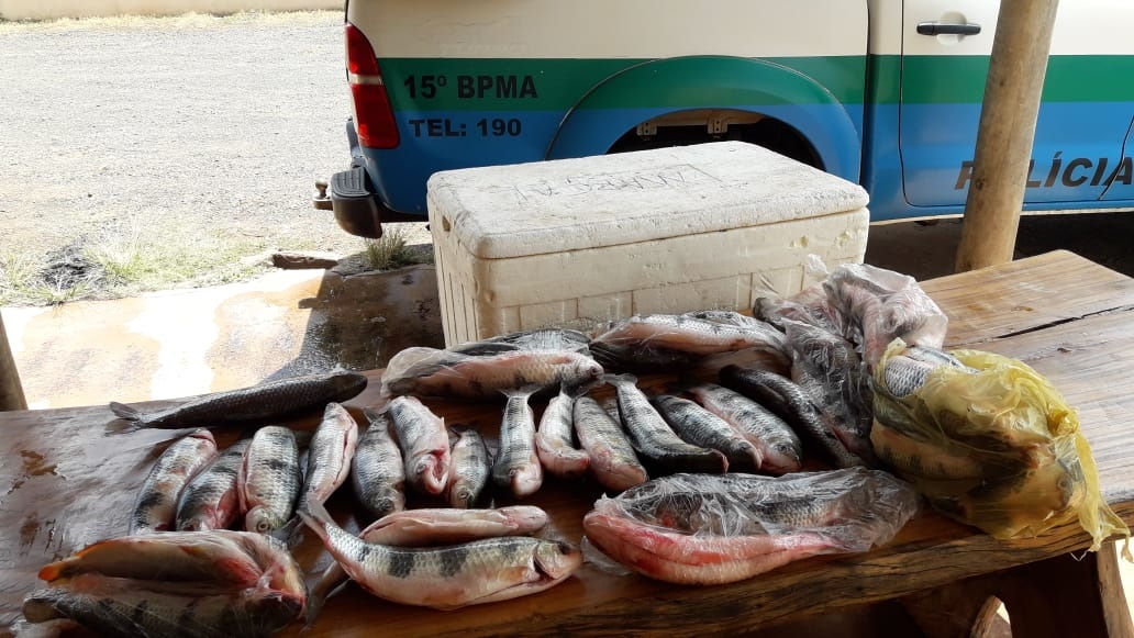 Paulistas são presos por pesca acima da cota permitida por lei