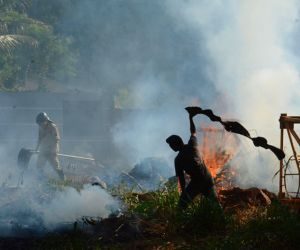 Especialista alerta para que  pessoas não enfrentem o fogo