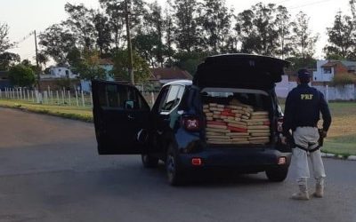 Dois são presos em rodovia de MS transportando 505 kg de maconha