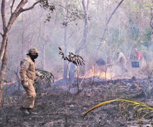 Ocorrência de incêndios no Estado cresceu 45% em 2019