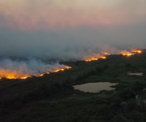Governo proíbe queimadas controladas no Pantanal