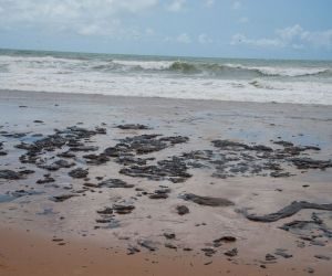 Presidente do Ibama diz que derramamento de óleo é situação inédita