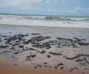 Presidente do Ibama diz que derramamento de óleo é situação inédita