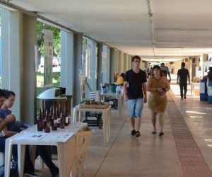 Descarte irregular de lixo gera de doenças a graves problemas ambientais