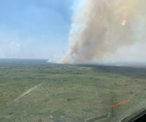 Incêndios no Pantanal levam cidades de MS ao topo de ranking de focos