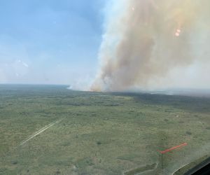 Incêndios no Pantanal levam cidades de MS ao topo de ranking de focos
