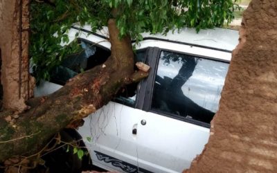Tempestade com ventos de 131 km/h causa destruição em MS