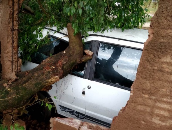 Tempestade com ventos de 131 km/h causa destruição em MS