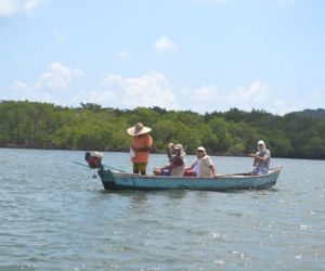 Governo avalia pedido do Ministério Público para suspensão da Cota Zero