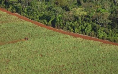 “Há retrocessos absurdos”, avalia entidade após decreto sobre a cana