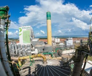 Irmãos Batista podem perder controle da Eldorado Celulose