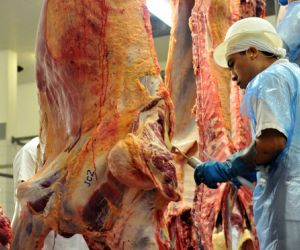 Estados Unidos mantém veto a importação de carne bovina do Brasil