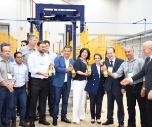 Para baixar preço, Brasil pode importar carne bovina