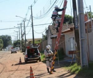 Gatos na rede poderiam abastecer Corumbá e Bonito