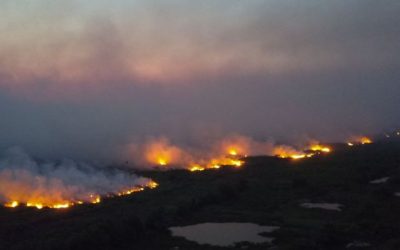 Incêndio avança no Pantanal  e combate é reforçado
