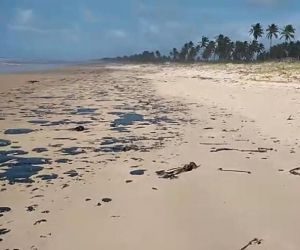 União pagará auxílio emergencial a pescadores afetados por óleo