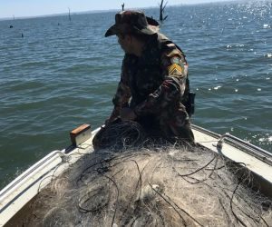 Em um mês, PMA aplica R$ 864 mil em multas e apreende 241 kg de pescado