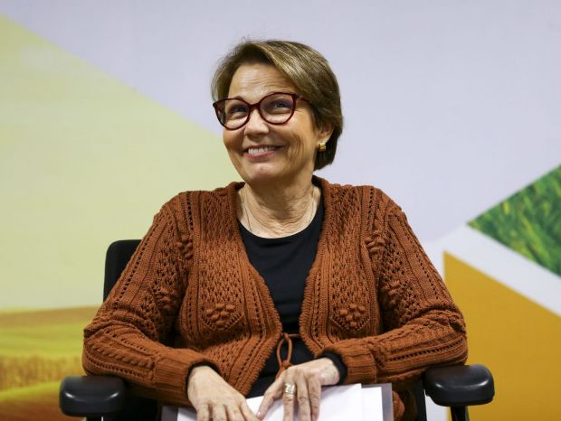 Frigorífico de MS e outros 12 são habilitados para exportar carne para China