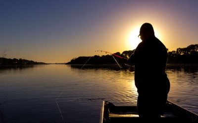 Governo analisa flexibilização da Cota Zero quanto a tamanho de peixes