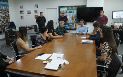 Capital terá unidade móvel itinerante para castração de gatos e cachorros