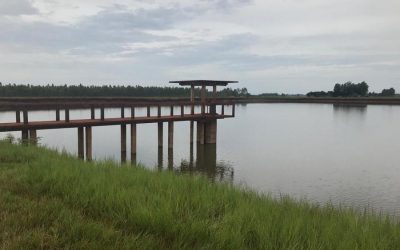 MPF cobra adoção de medidas para evitar rompimento de barragens