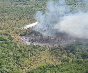 Queimada controlada evita desastres ambientais