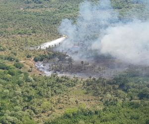 Queimada controlada evita desastres ambientais