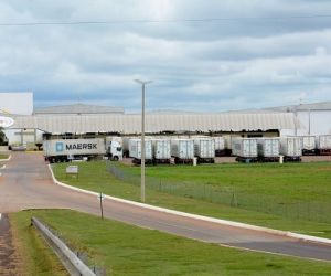 China paga 70% mais por carne brasileira