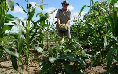 Empreendedores de MS terão R$ 1,7 bilhão para investimentos em 2020