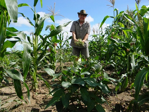 Empreendedores de MS terão R$ 1,7 bilhão para investimentos em 2020