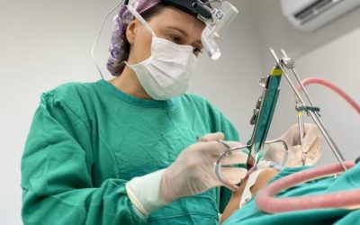 Parceria entre Prefeitura e Hospital do Pênfigo vai tirar 60 crianças de fila por cirurgia