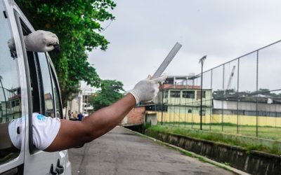 Mosquito aliado no combate à dengue terá efeito até 2025