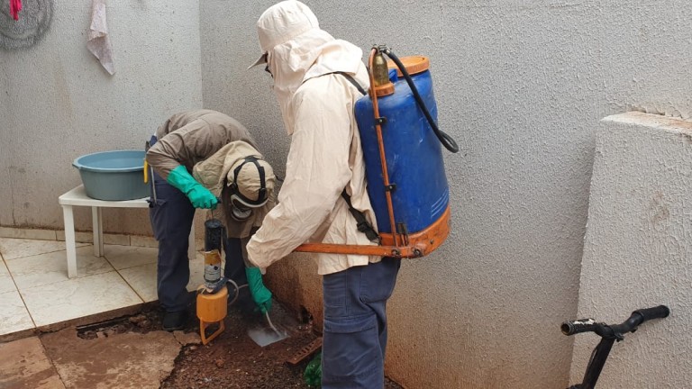 Por dia, CCZ recebe 19 pedidos para exterminar escorpiões em residências