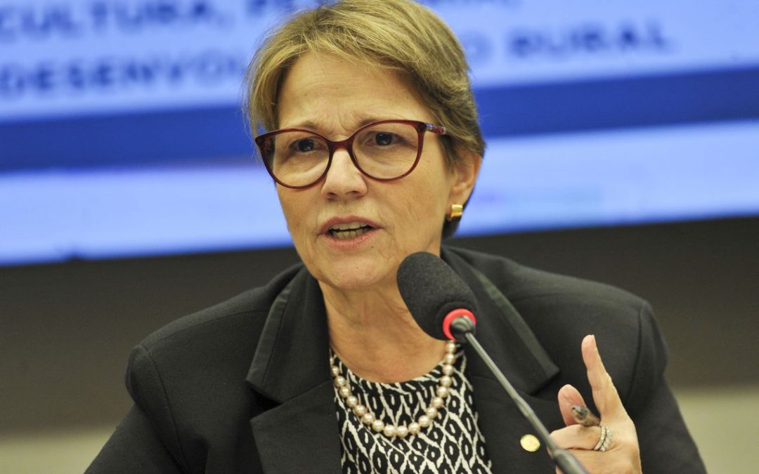 Na Índia, Tereza Cristina diz que agricultura brasileira não é vilã