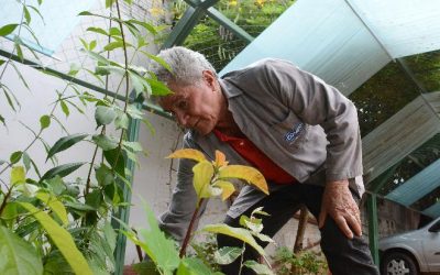 Empresas poderão ter benefícios na contratação de pessoas idosas