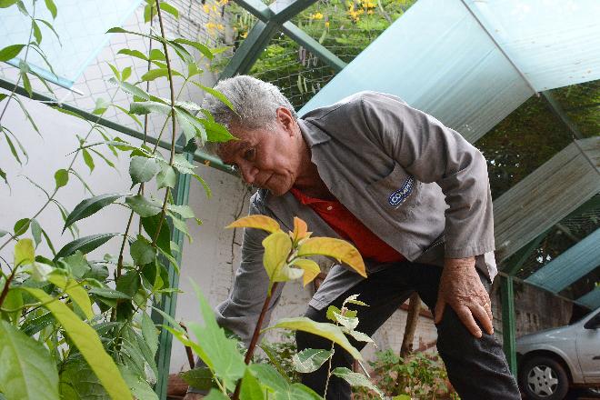 Empresas poderão ter benefícios na contratação de pessoas idosas