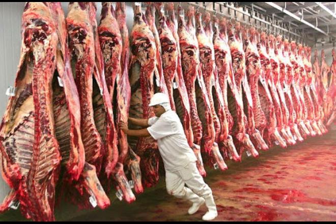 Frigoríficos já se preparam para voltar a exportar para os Estados Unidos