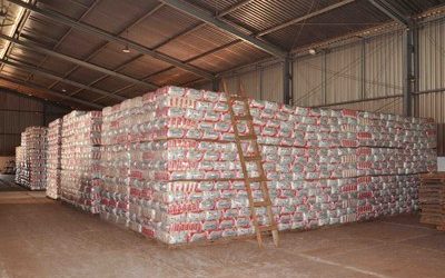 Índios estão sem cestas de alimentos; MPF recomenda que Funai restabeleça abastecimento