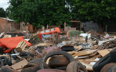 Capital reconhece epidemia de dengue e decreta situação de emergência