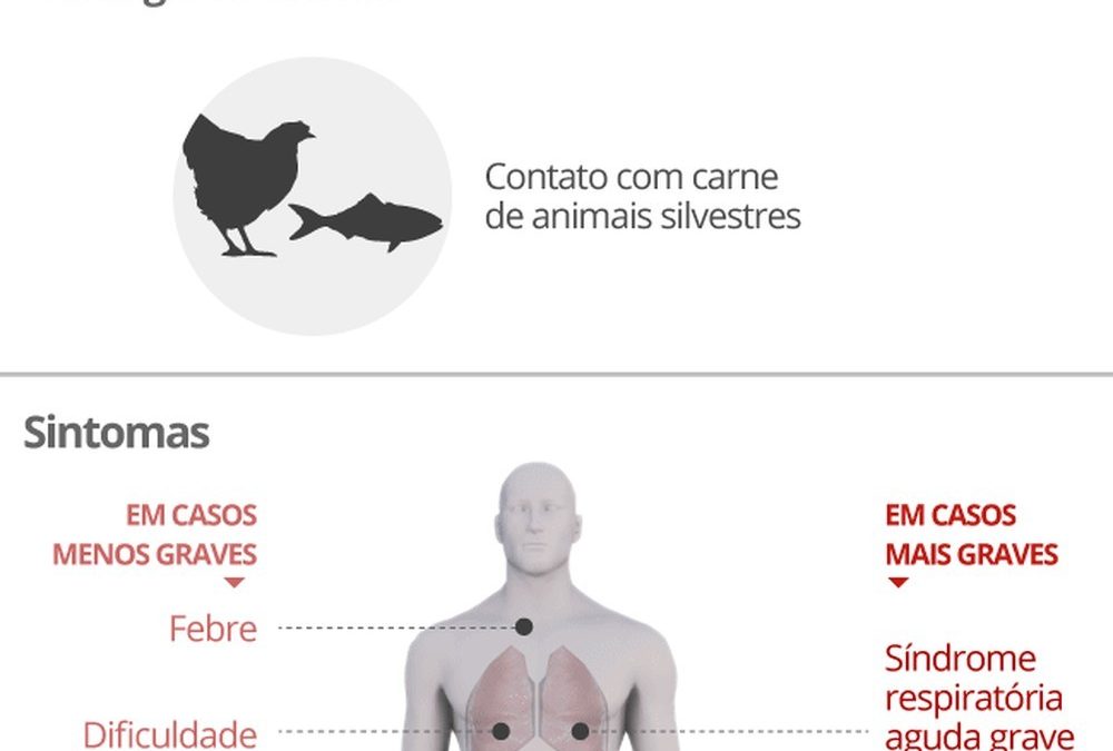 São Paulo tem o primeiro caso de morte provocada pelo coronavírus