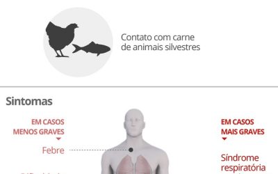 São Paulo tem o primeiro caso de morte provocada pelo coronavírus