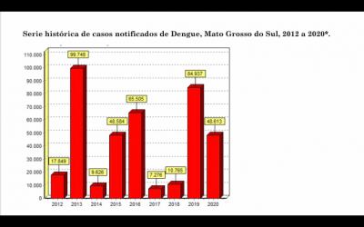 Confirmados quase 20 mil casos e 25 mortes por dengue no estado